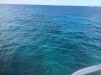 Great day of scuba diving in Key Largo with Rainbow Reef on hole in the wall tropical odyssey 2014 10 06 r851 2