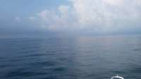 Great day of scuba diving in Key Largo with Rainbow Reef on north star tropical odyssey 2014 10 02 r842 1