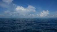 Great day of scuba diving in Key Largo with Rainbow Reef on north star tropical odyssey 2014 10 15 r883 1