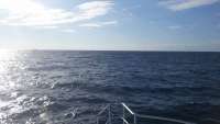 Great day of scuba diving in Key Largo with Rainbow Reef on north star tropical odyssey 2014 10 29 r926 1