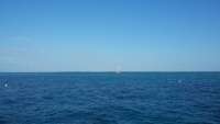 Great day of scuba diving in Key Largo with Rainbow Reef on permit ledges tropical adventure 2014 10 30 r934 1