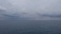 Great day of scuba diving in Key Largo with Rainbow Reef on permit ledges tropical odyssey 2014 10 22 r908 1