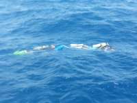 Great day of scuba diving in Key Largo with Rainbow Reef on spiegel grove tropical adventure 2014 10 05 r848 1