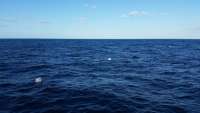 Great day of scuba diving in Key Largo with Rainbow Reef on spiegel grove tropical adventure 2014 10 29 r927 1