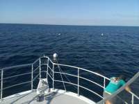 Great day of scuba diving in Key Largo with Rainbow Reef on spiegel grove tropical odyssey 2014 10 30 r929 1