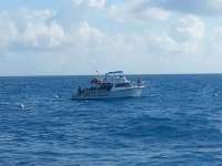 Great day of scuba diving in Key Largo with Rainbow Reef on spiegel grove tropical voyager 2014 10 12 r875 1