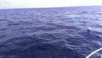 Great day of scuba diving in Key Largo with Rainbow Reef on uscgc bibb tropical adventure 2014 10 08 r859 1