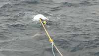 Great day of scuba diving in Key Largo with Rainbow Reef on uscgc duane tropical adventure 2014 10 23 r909 1