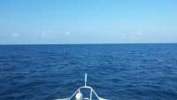 Great day of scuba diving in Key Largo with Rainbow Reef on uscgc duane tropical odyssey 2014 10 01 r838 1