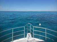 Great day of scuba diving in Key Largo with Rainbow Reef on winch hole tropical odyssey 2014 10 18 r893 1