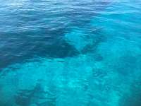 Great day of scuba diving in Key Largo with Rainbow Reef on winch hole tropical odyssey 2014 10 18 r893 2