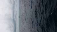 Great day of scuba diving in Key Largo with Rainbow Reef on winch hole tropical odyssey 2014 10 23 r911 1