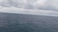 Great day of scuba diving in Key Largo with Rainbow Reef on winch hole tropical odyssey 2014 10 29 r928 1