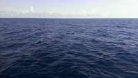 Great day of scuba diving in Key Largo with Rainbow Reef on woodys tropical adventure 2014 10 07 r853 1