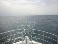 Great day of scuba diving in Key Largo with Rainbow Reef on benwood wreck tropical odyssey 2014 09 14 r779 1