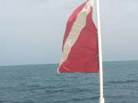 Great day of scuba diving in Key Largo with Rainbow Reef on benwood wreck tropical odyssey 2014 09 14 r779 2