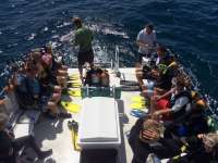 Great day of scuba diving in Key Largo with Rainbow Reef on benwood wreck tropical voyager 2014 09 27 r827 2
