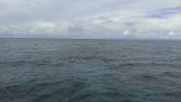 Great day of scuba diving in Key Largo with Rainbow Reef on christ statue tropical adventure 2014 09 13 r777 1