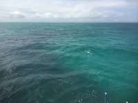 Great day of scuba diving in Key Largo with Rainbow Reef on christ statue tropical adventure 2014 09 25 r818 2