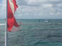 Great day of scuba diving in Key Largo with Rainbow Reef on christ statue tropical odyssey 2014 09 27 r825 2