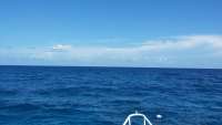 Great day of scuba diving in Key Largo with Rainbow Reef on christmastree cave tropical adventure 2014 09 01 r733 1