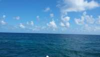 Great day of scuba diving in Key Largo with Rainbow Reef on conch pillars tropical adventure 2014 09 27 r826 1