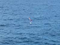 Great day of scuba diving in Key Largo with Rainbow Reef on drift molasses tropical odyssey 2014 09 04 r743 1
