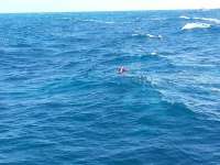 Great day of scuba diving in Key Largo with Rainbow Reef on drift molasses tropical odyssey 2014 09 09 r757 1