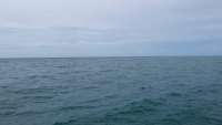 Great day of scuba diving in Key Largo with Rainbow Reef on drift molasses tropical voyager 2014 09 13 r778 1
