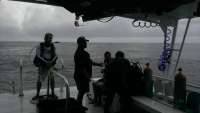 Great day of scuba diving in Key Largo with Rainbow Reef on eagle ray alley tropical adventure 2014 09 10 r763 1
