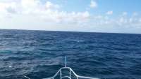 Great day of scuba diving in Key Largo with Rainbow Reef on eagle ray alley tropical odyssey 2014 09 08 r755 1