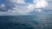 Great day of scuba diving in Key Largo with Rainbow Reef on eagle ray alley tropical odyssey 2014 09 10 r759 1