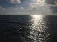 Great day of scuba diving in Key Largo with Rainbow Reef on eagle ray alley tropical odyssey 2014 09 29 r831 1