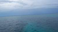 Great day of scuba diving in Key Largo with Rainbow Reef on elbow reef tropical voyager 2014 09 12 r773 1
