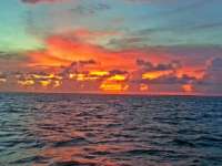 Great day of scuba diving in Key Largo with Rainbow Reef on fire coral cave tropical adventure 2014 09 06 r751 1