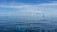 Great day of scuba diving in Key Largo with Rainbow Reef on fire coral cave tropical adventure 2014 09 11 r767 1