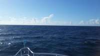 Great day of scuba diving in Key Largo with Rainbow Reef on fire coral cave tropical odyssey 2014 09 02 r734 1