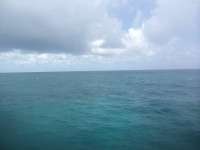 Great day of scuba diving in Key Largo with Rainbow Reef on french twist tropical adventure 2014 09 26 r820 1