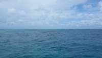 Great day of scuba diving in Key Largo with Rainbow Reef on french twist tropical voyager 2014 09 06 r749 1
