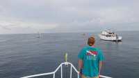 Great day of scuba diving in Key Largo with Rainbow Reef on molasses reef tropical adventure 2014 09 18 r791 1