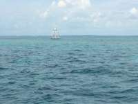 Great day of scuba diving in Key Largo with Rainbow Reef on molasses reef tropical odyssey 2014 09 20 r800 1