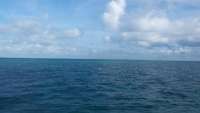 Great day of scuba diving in Key Largo with Rainbow Reef on molasses reef tropical odyssey 2014 09 25 r815 1