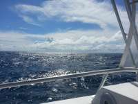 Great day of scuba diving in Key Largo with Rainbow Reef on north star tropical odyssey 2014 09 03 r740 1