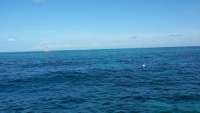 Great day of scuba diving in Key Largo with Rainbow Reef on north star tropical odyssey 2014 09 16 r783 1