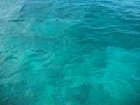 Great day of scuba diving in Key Largo with Rainbow Reef on snapper ledge tropical odyssey 2014 09 05 r744 2