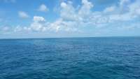 Great day of scuba diving in Key Largo with Rainbow Reef on snapper ledge tropical odyssey 2014 09 16 r785 1