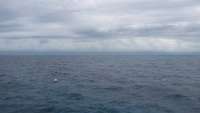 Great day of scuba diving in Key Largo with Rainbow Reef on snapper ledge tropical odyssey 2014 09 23 r812 1