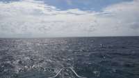 Great day of scuba diving in Key Largo with Rainbow Reef on spanish anchor tropical adventure 2014 09 27 r823 1