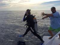 Great day of scuba diving in Key Largo with Rainbow Reef on spiegel grove tropical adventure 2014 09 04 r742 1