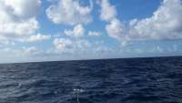 Great day of scuba diving in Key Largo with Rainbow Reef on spiegel grove tropical adventure 2014 09 09 r756 1